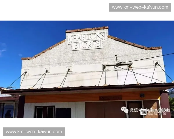 绿茵激战！当“蓝武士”手术刀遇上“全白军团”破城槌：日本vs新西兰全维度深度预测